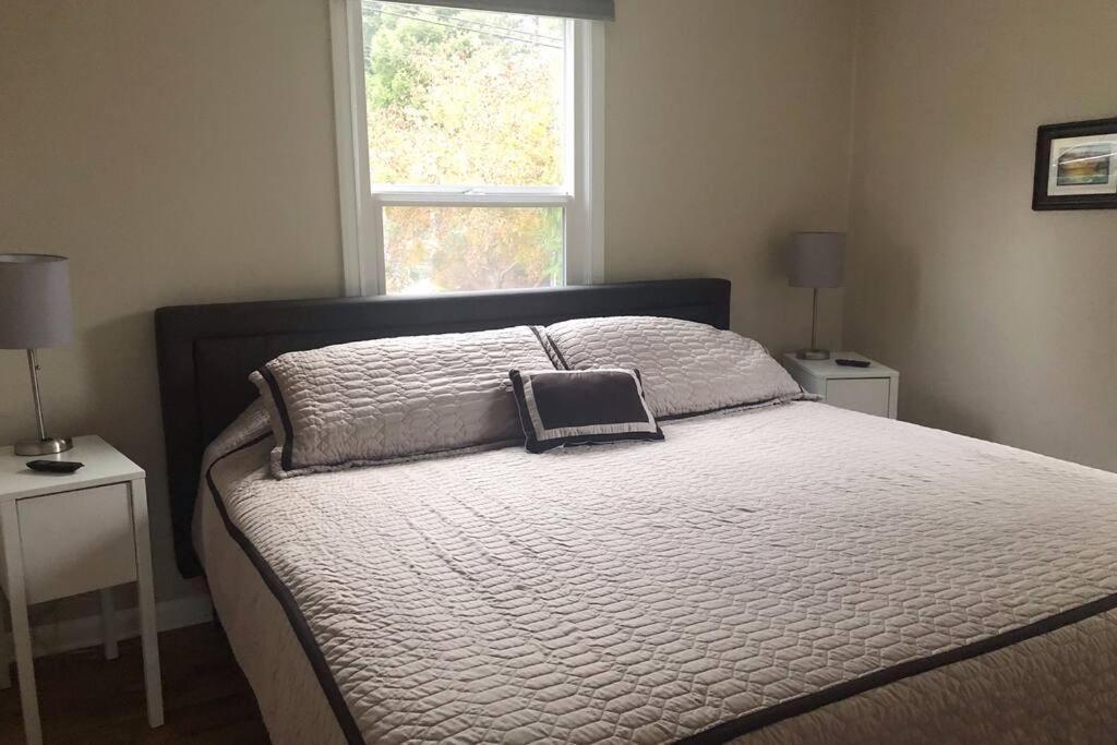 Cozy Crown Hill Carkeek Cottage W/3 Beds, Full Kitchen & Backyard In North Seattle Exterior photo